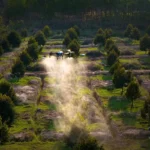 New Big Drone Auto Flight Uav Spraying Installed Camera Gps Farm Agricultural Sprayer Drone for Farms and Retail - Image 2