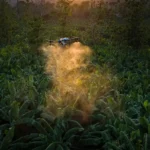 New Big Drone Auto Flight Uav Spraying Installed Camera Gps Farm Agricultural Sprayer Drone for Farms and Retail - Image 4