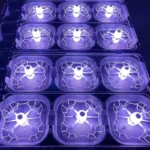 L1 Original Manufacturer's Drone Light Show State-of-the-Art Rain-Proof Experience Discover the Wonders of Drone Illuminations - Image 5