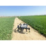 FP150 Agricultural Drone Durable Simple Maintenance Agricultural Spraying High Quality 15L 8 Nozzles Drone